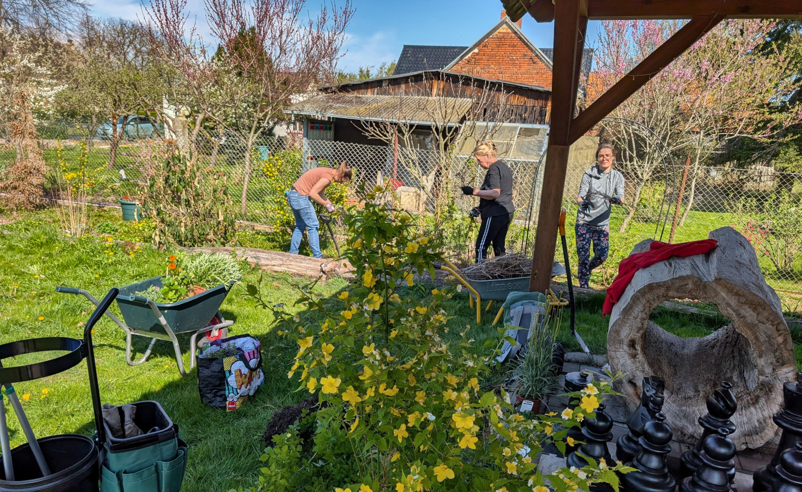 Pflanzaktion Altes Pfarrhaus Groß Döbbern